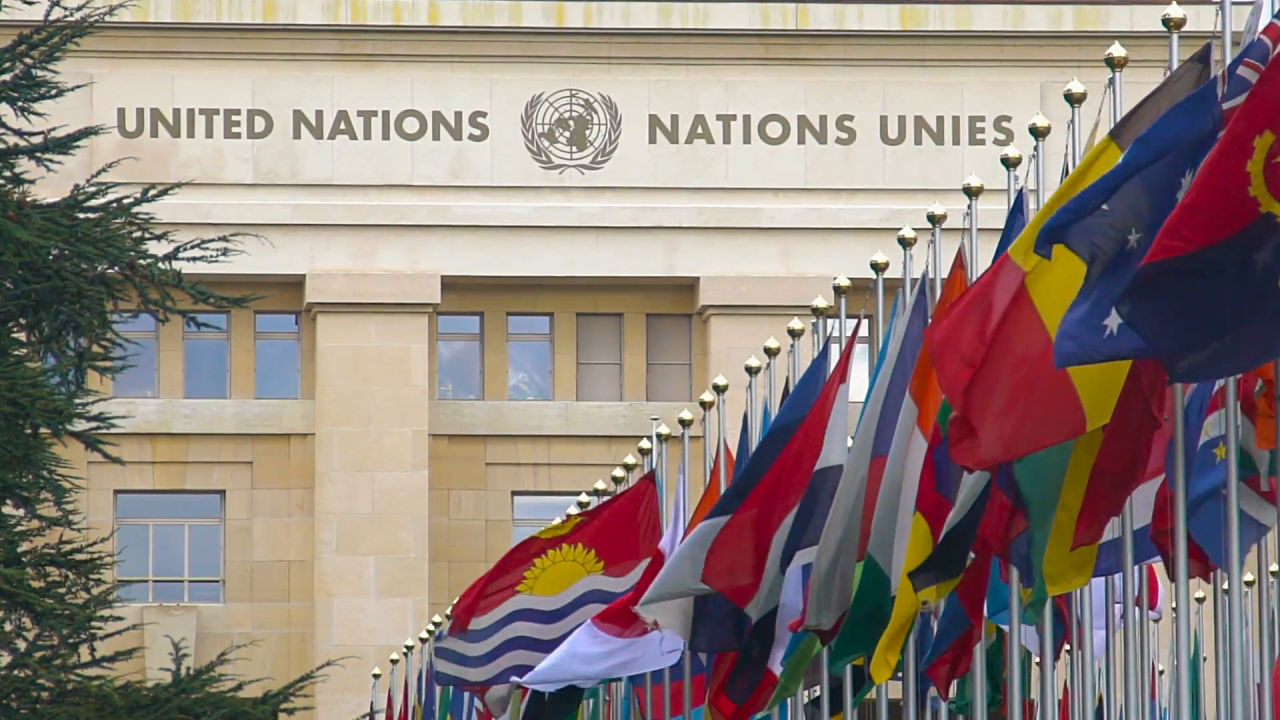 Flags at the United Nations in Geneva