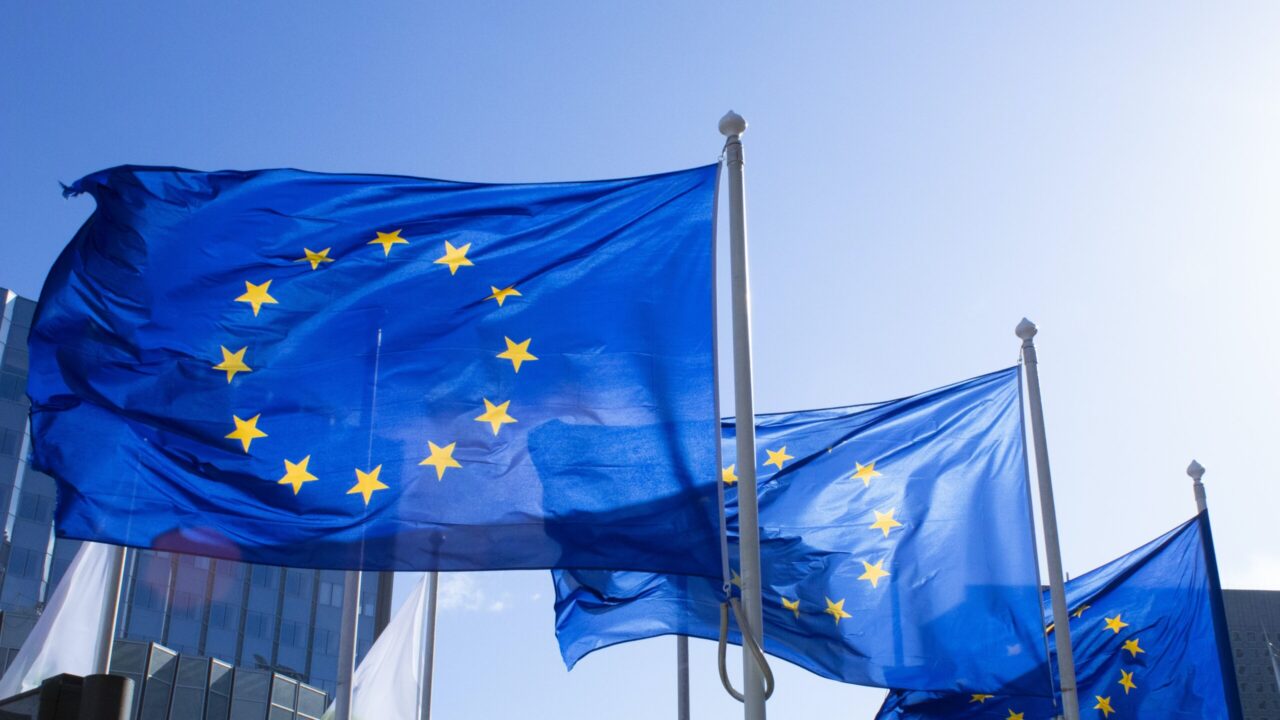 EU flags